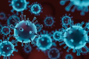 Vairus vernietigt het coronavirus